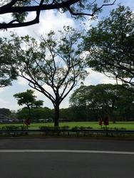 Blk 17 Jalan Tenteram (Kallang/Whampoa), HDB 4 Rooms #116376152